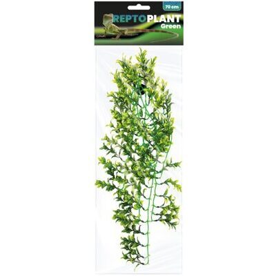 REPTO PLANT GREEN/YELLOW 70 CM