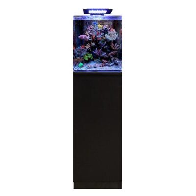 BLUE MARINE REEF 60 SCHRANK SCHWARZ