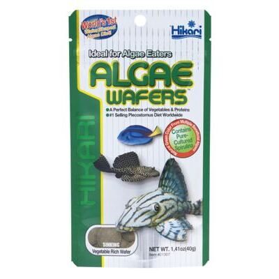 HIKARI ALGAE WAFERS