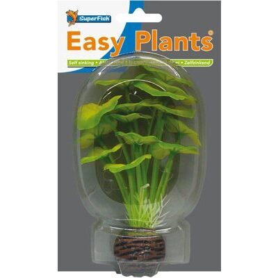 SF EASY PLANT SEIDE 13 CM NR. 5