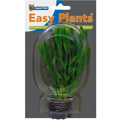 SF EASY PLANT VORDERGRUND 13 CM NR. 6