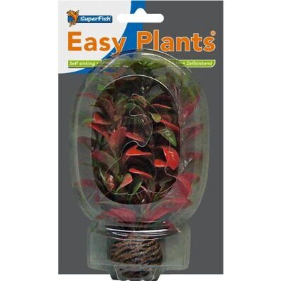 SF EASY PLANT VORDERGRUND 13 CM NR. 7