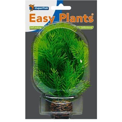 SF EASY PLANT VORDERGRUND 13 CM NR. 9