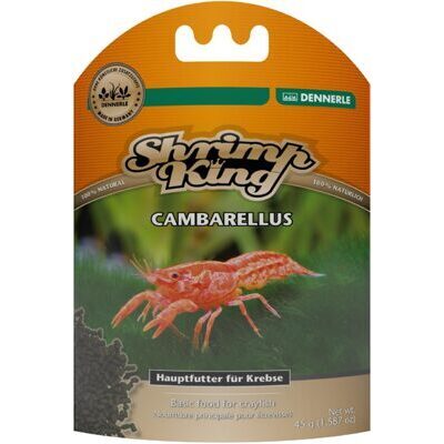 Shrimp King Cambarellus