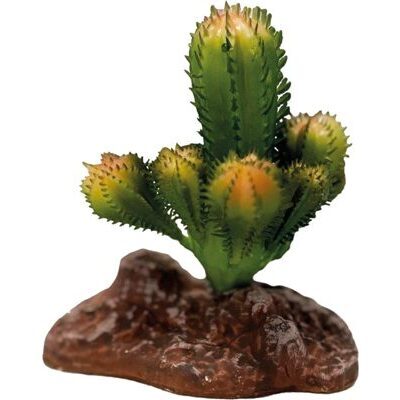 REPTO PLANT CACTUS