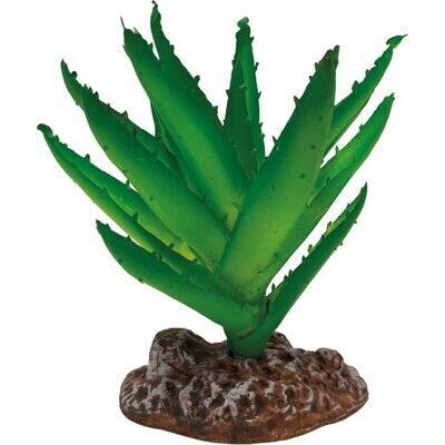 REPTO PLANT ALOE VERA