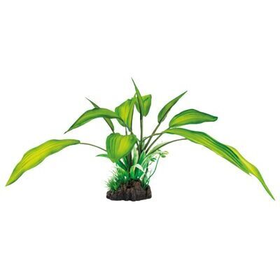 SF ART PLANT 25CM CRYPTOCORYNE