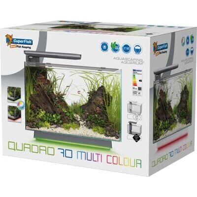 QUADRO 70 MULTI  COLOUR WHITE