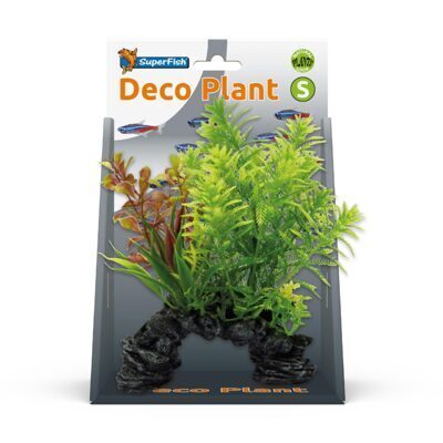 SF DECO PLANT S HOTTONIA