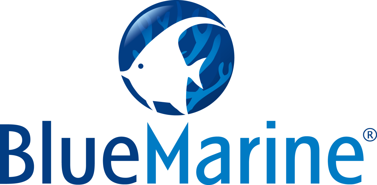 Blue Marine  Logo