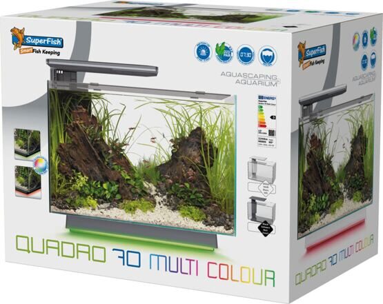 QUADRO 70 MULTI  COLOUR WHITE