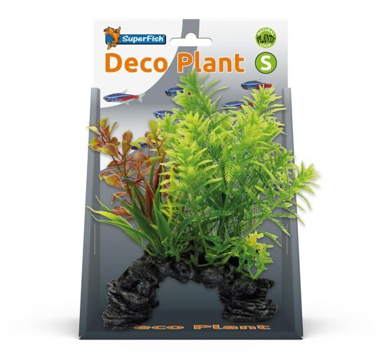 SF DECO PLANT S HOTTONIA