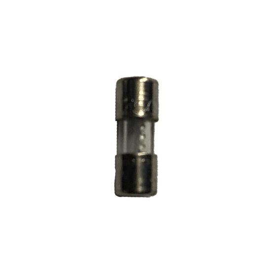 BM  POLARIO 4000 FUSE 1,25A