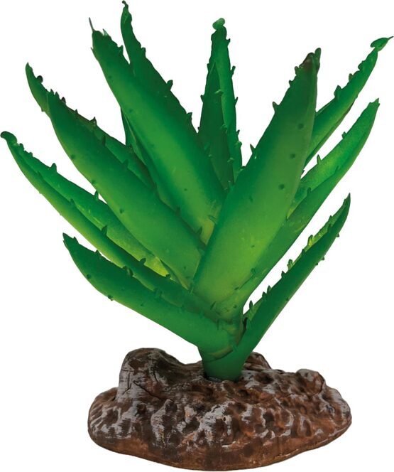 REPTO PLANT ALOE VERA