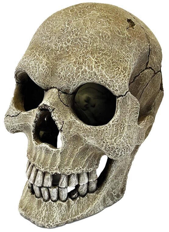 REPTO DECO HUMAN SKULL XL