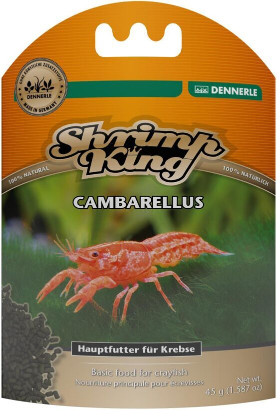 Shrimp King Cambarellus