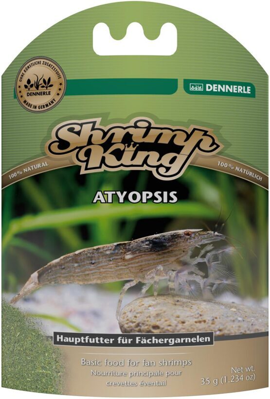 Shrimp King Atyopsis