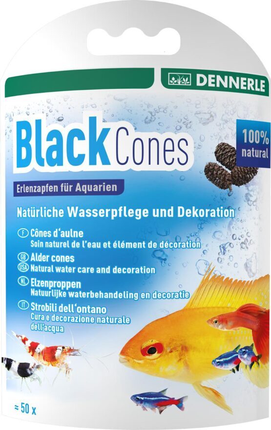 Black Cones