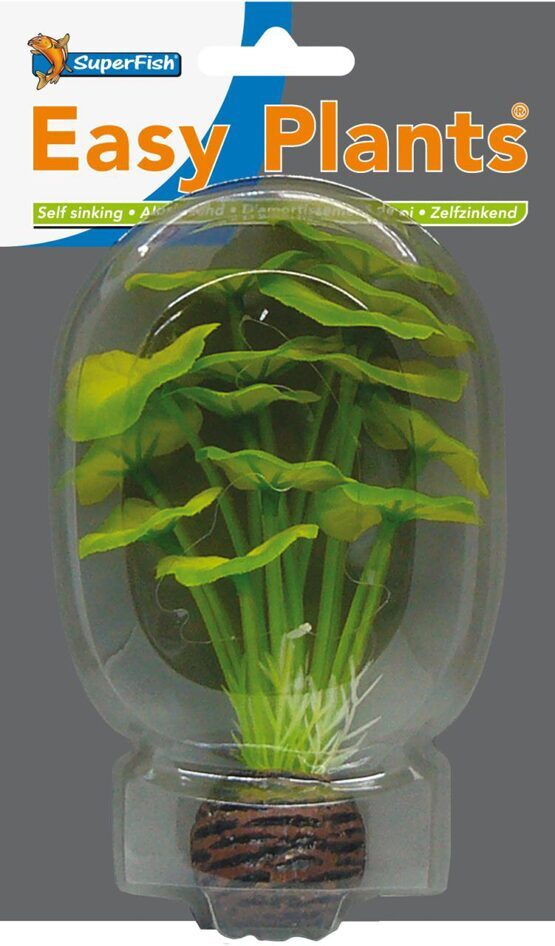 SF EASY PLANT SEIDE 13 CM NR. 5